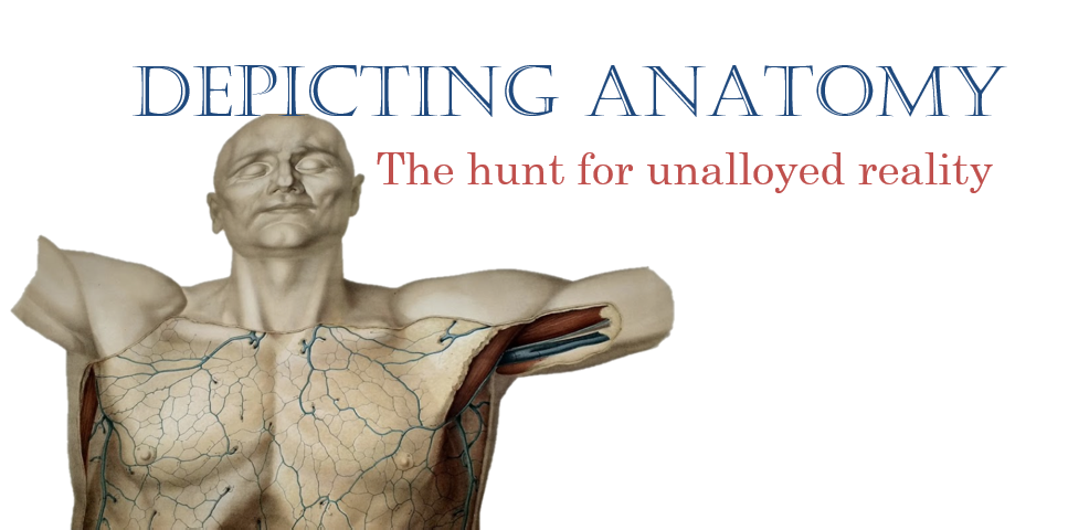 Depicting Anatomy: the hunt for unalloyed reality